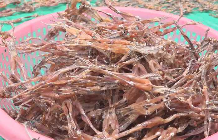 Miền tây 24h 09-04-2019