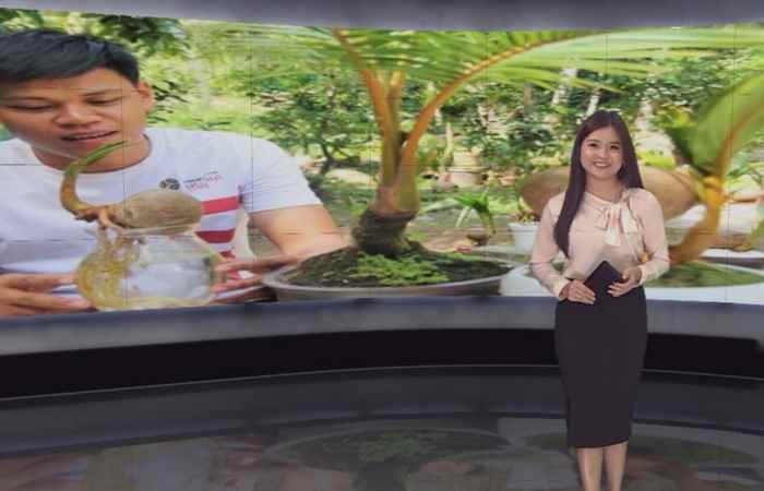 Miền tây 24h 17-02-2019