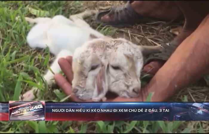 Miền tây 24h 18-04-2019