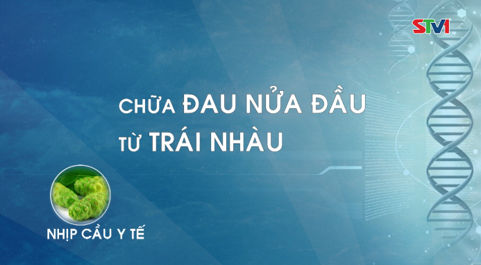 Nhịp cầu y tế - Chữa đau nửa đầu từ trái Nhàu  20-02-2017