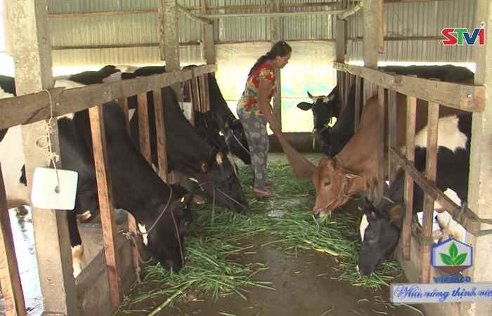Ngân hàng chính sách xã hội tỉnh Sóc Trăng - 15 năm đồng hành cùng hộ nghèo