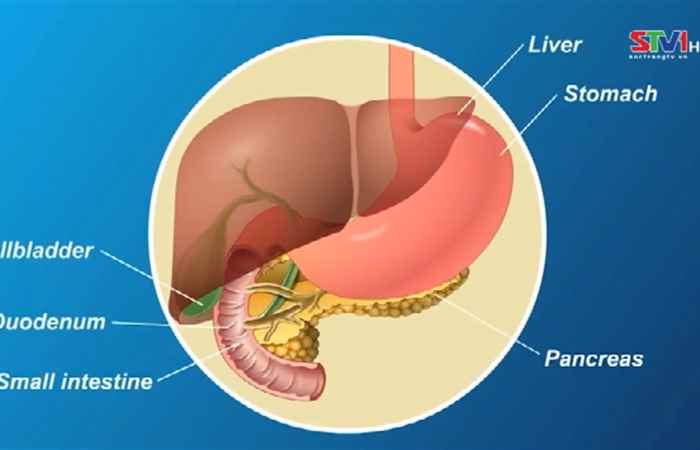 Nhịp cầu sức khỏe Ung thư tuyến tụy 03-11-2018