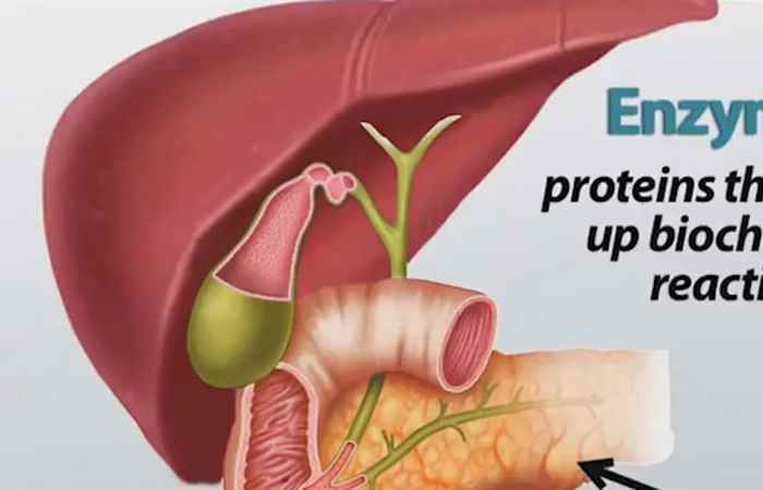 Nhịp cầu sức khỏe Hội chứng hấp thu kém 30-09-2018