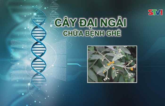 Nhịp cầu y tế 02-09-2017