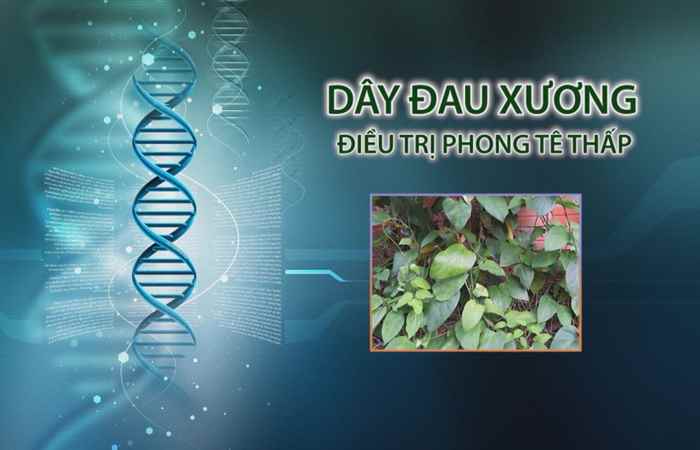 Nhịp cầu y tế 07-07-2017