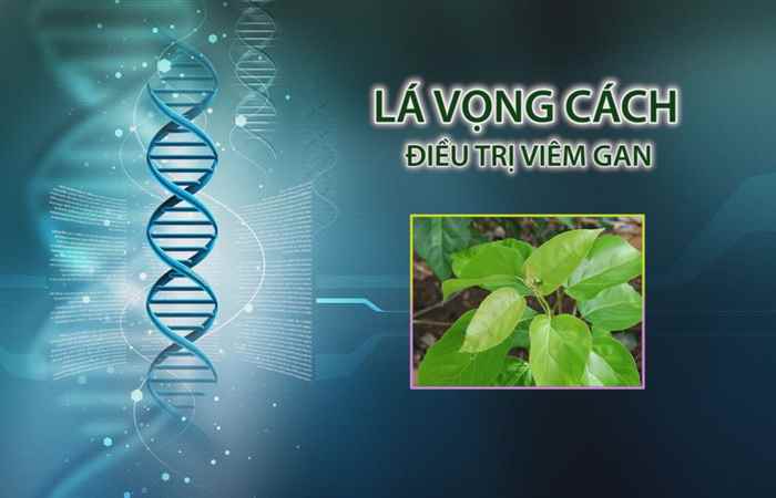 Nhịp cầu y tế 08-05-2017