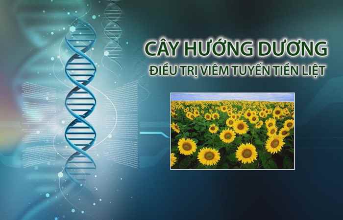Nhịp cầu y tế 09-06-2017