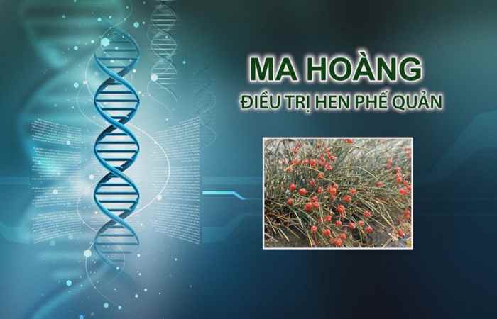 Nhịp cầu y tế 11-10-2017