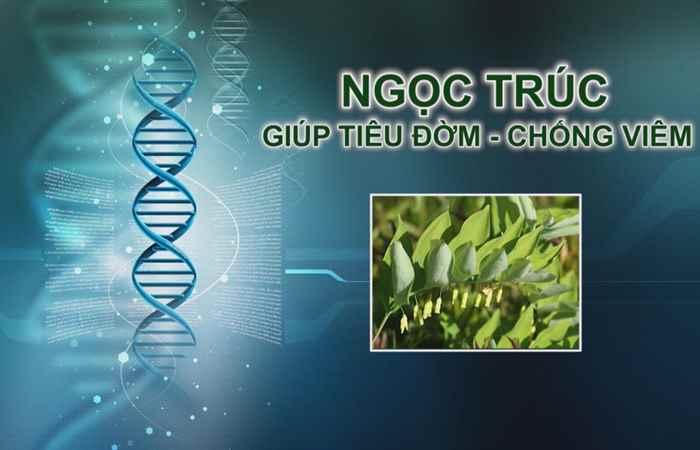 Nhịp cầu y tế 12-09-2017