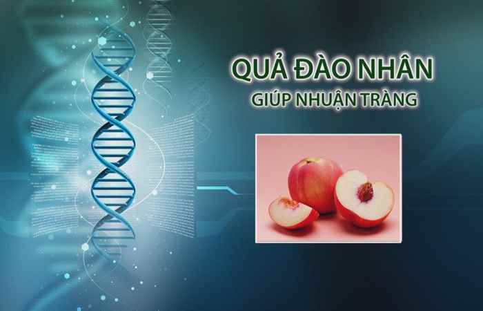 Nhịp cầu y tế 14-08-2017