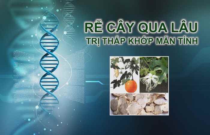 Nhịp cầu y tế 15-09-2017