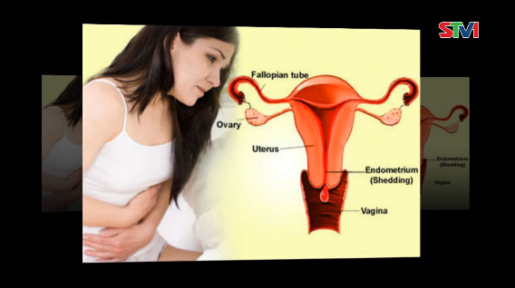 Nhịp cầu y tế - Nhận biết và điều trị Suy buồng trứng sớm 14-09-2016