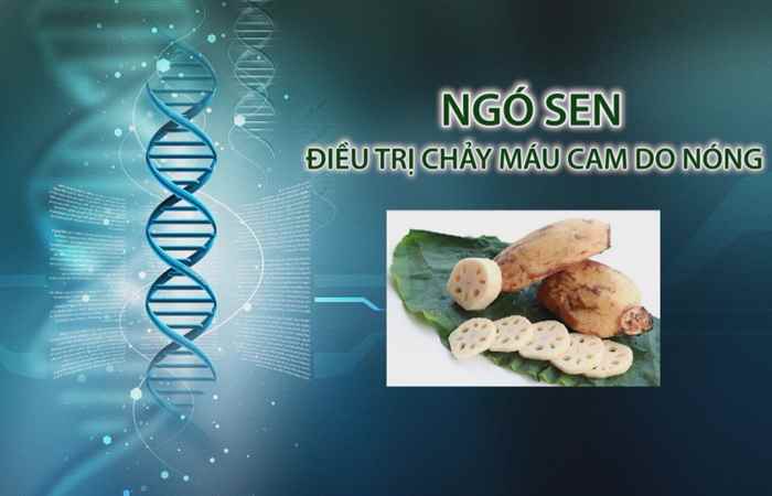 Nhịp cầu y tế 18-08-2017