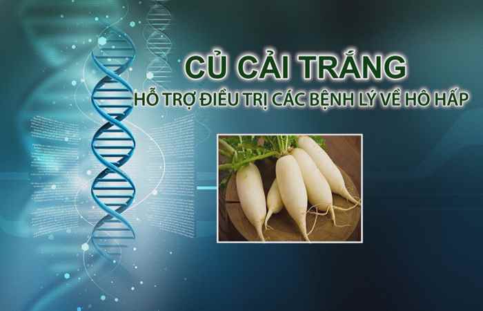 Nhịp cầu y tế 20-11-2017