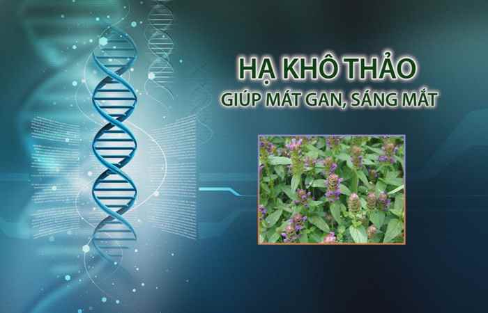 Nhịp cầu y tế 23-06-2017