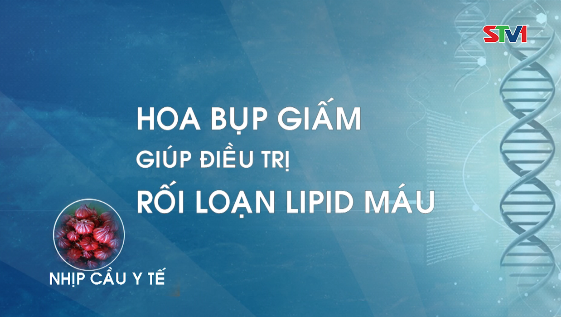 Nhịp cầu y tế 16-01-2017