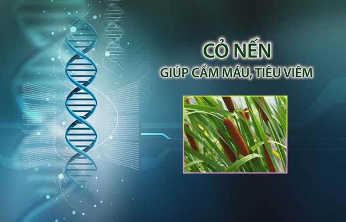 Nhịp cầu y tế 29-04-2017