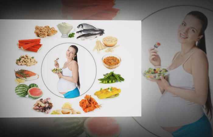 Nhịp cầu y tế - Cây râu mèo giúp lợi tiểu 24-07-2017