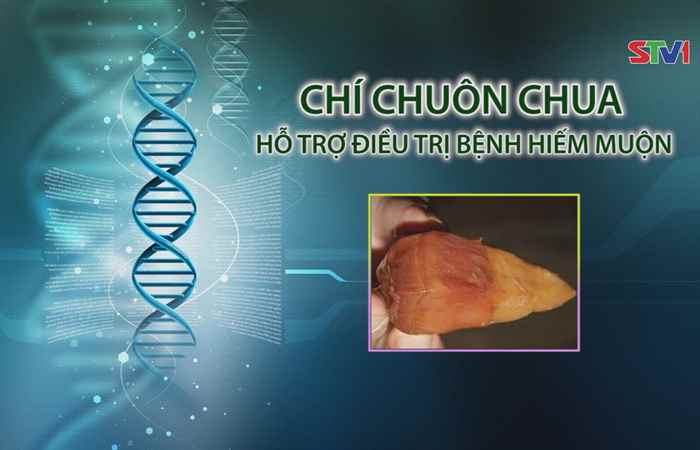 Nhịp cầu y tế - Chí Chuôn Chua hỗ trợ điều trị bệnh hiếm muộn 11-06-2017