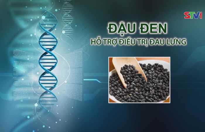 Nhịp cầu y tế - Đậu đen hỗ trợ điều trị đau lưng 24-09-2017