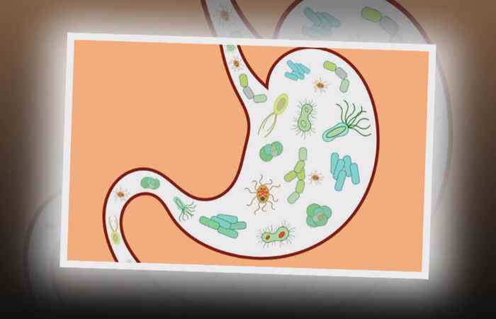 Nhịp cầu y tế - Dây đẹt ác giúp trị chấy hiệu quả 19-11-2017