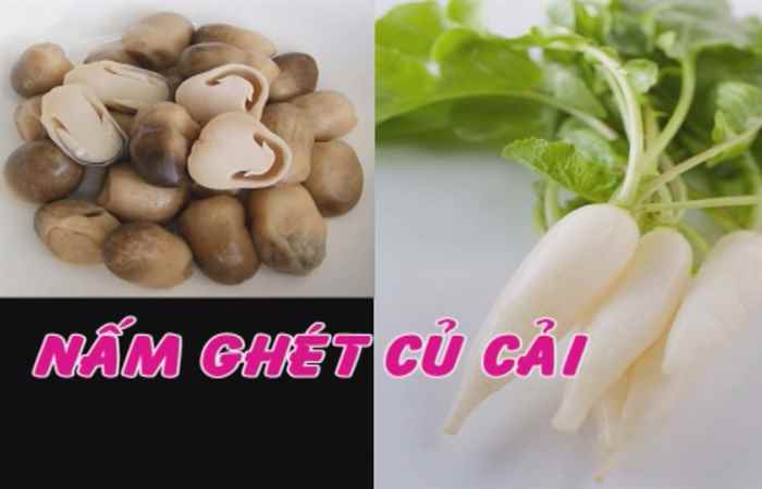 Những món ăn kỵ nhau 28-08-2017