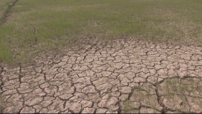 Phóng sự-Thực trạng thủy lợi Sóc Trăng 30-05-2016