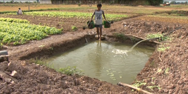 Phóng sự- Chuyện cái ao 30-06-2016