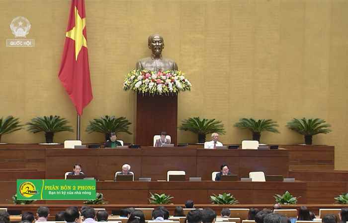 Quốc Hội thảo luận Luật sửa đổi, bổ sung một số điều của Luật Giáo dục đại học và Luật Công an nhân dân sửa đổi
