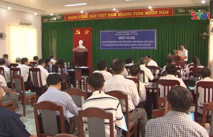 Sở NN &PTNT Sóc Trăng sơ kết tình hình nuôi tôm nước lợ. 