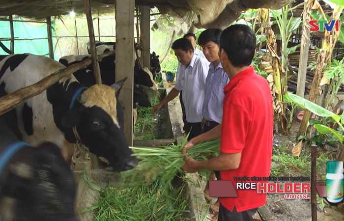 Sóc Trăng  cơ cấu lại ngành Nông nghiệp
