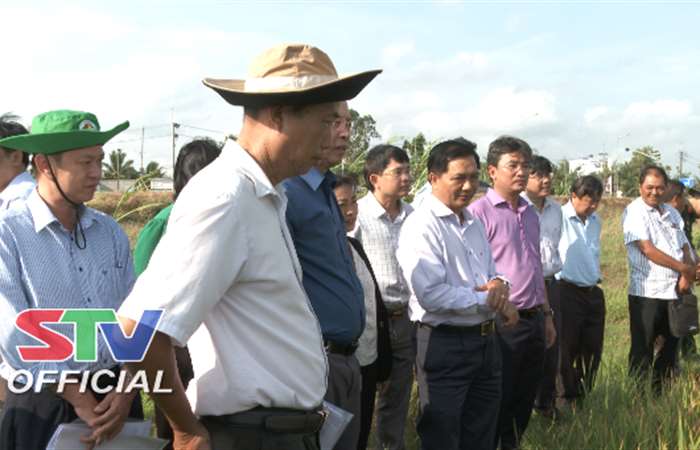 Sóc Trăng: Lãnh đạo UBND tỉnh kiểm tra tình hình sản xuất nông nghiệp, phòng, chống sạt, lở