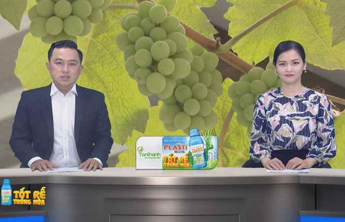 Sóc Trăng Ngày mới (04-03-2022)