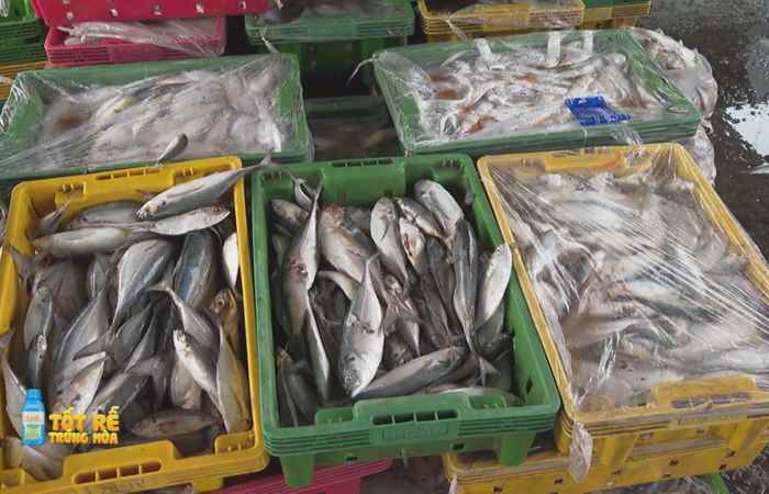 Sóc Trăng Ngày mới (05-12-2021)