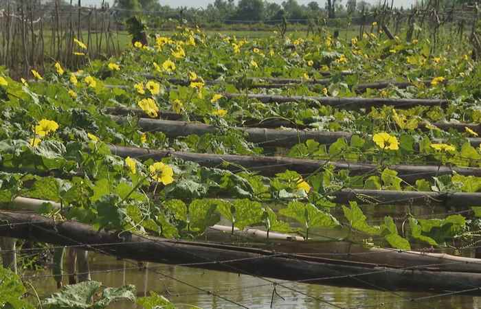 Sóc Trăng ngày mới (07-05-2025)