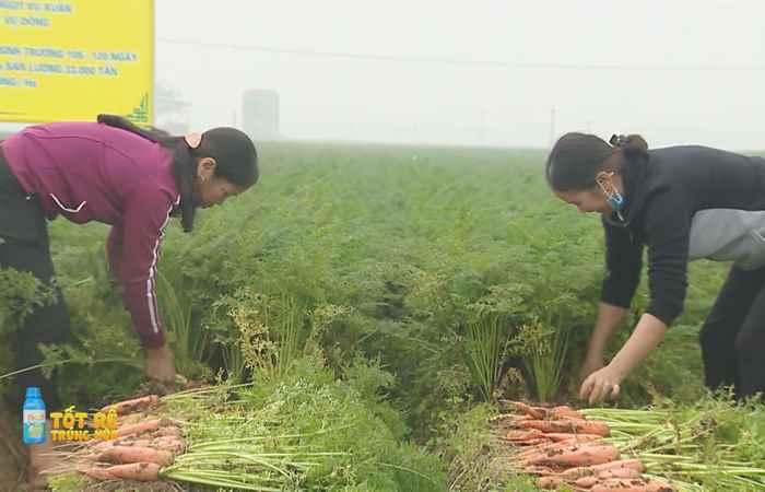 Sóc Trăng Ngày mới (08-02-2022)