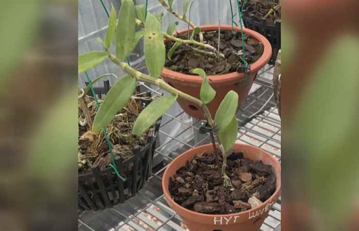 Sóc Trăng ngày mới (09-07-2021)