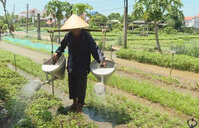 Sóc Trăng Ngày mới (09-09-2024)