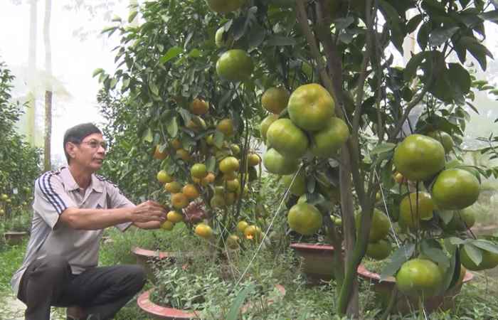 Sóc Trăng ngày mới 09-12-2019