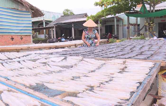 Sóc Trăng ngày mới (10-01-2021)