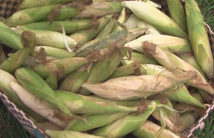 Sóc Trăng ngày mới 10-12-2020