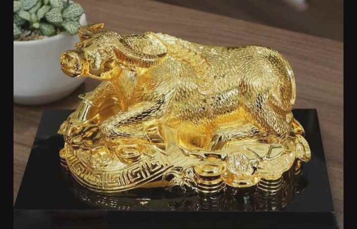 Sóc Trăng ngày mới (11-02-2021)