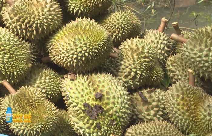  Sóc Trăng Ngày mới (12-06-2022)