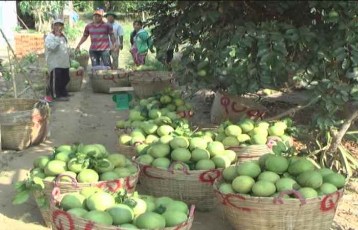 Sóc Trăng ngày mới 13-10-2019