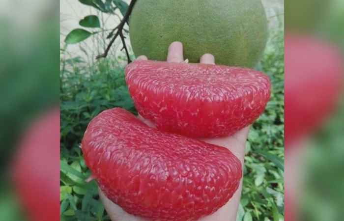 Sóc Trăng ngày mới (16-07-2020)