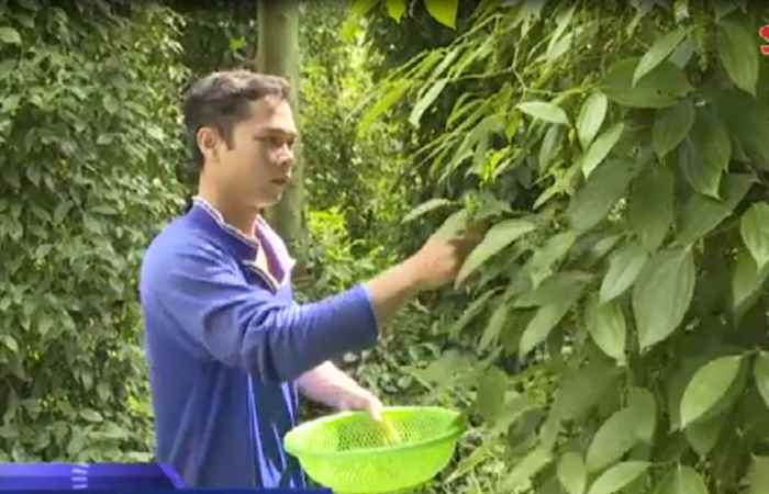 Sóc Trăng ngày mới 18-07-2020