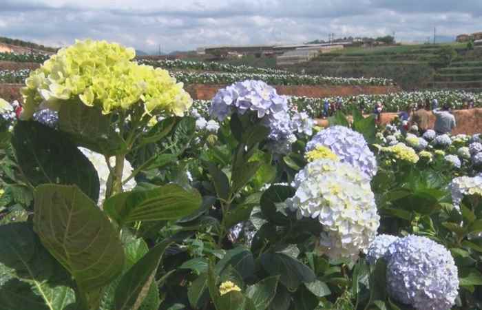 Sóc Trăng ngày mới 18-09-2020