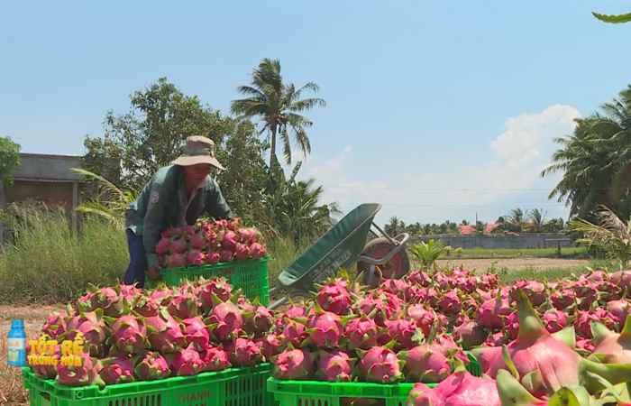 Sóc Trăng Ngày mới (19-08-2023)