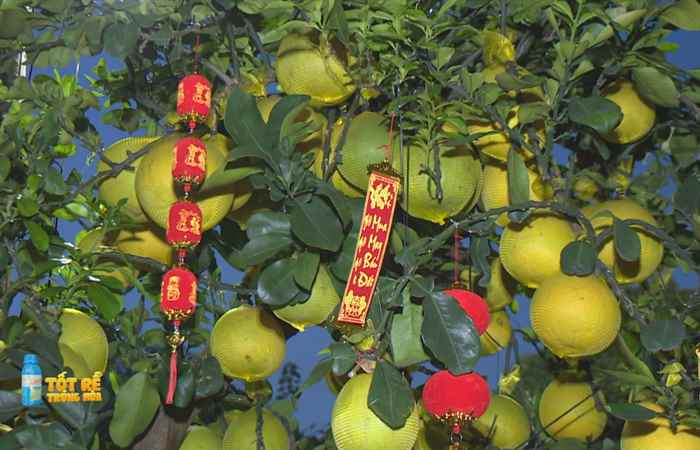 Sóc Trăng Ngày mới (21-01-2022)