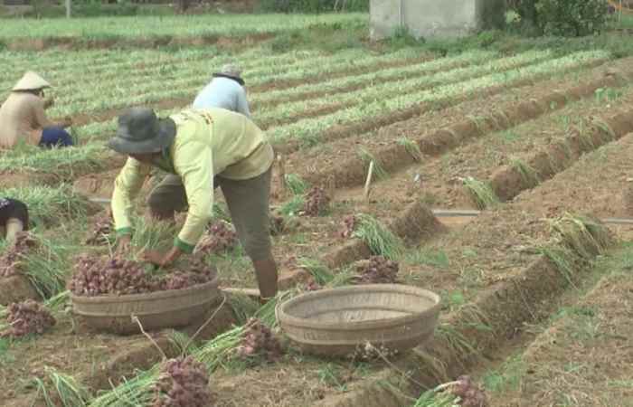 Sóc Trăng ngày mới (21-08-2019)